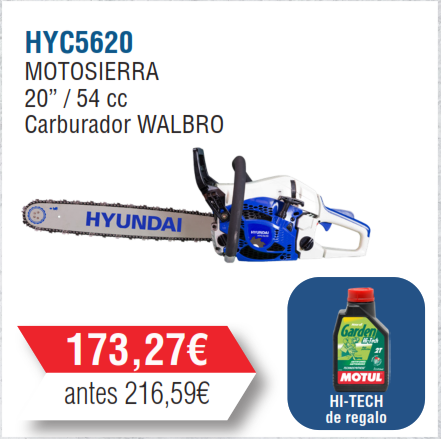 MOTOSIERRA HYUNDAI PRO